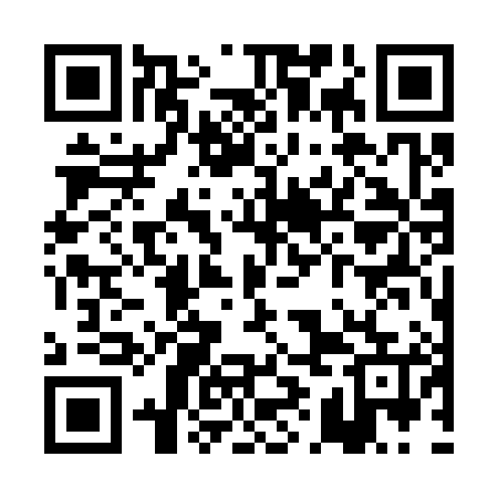QR code for PIG385