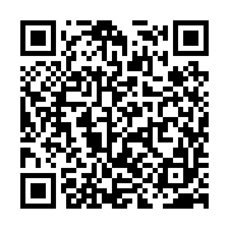 QR code for PII292
