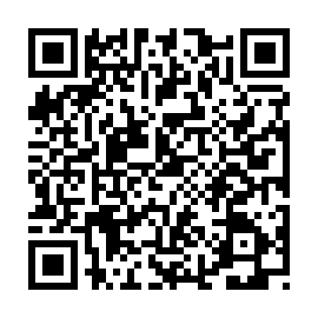 QR code for PIN1155