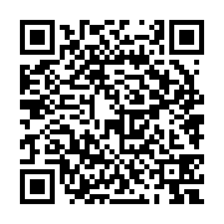 QR code for PIN2382