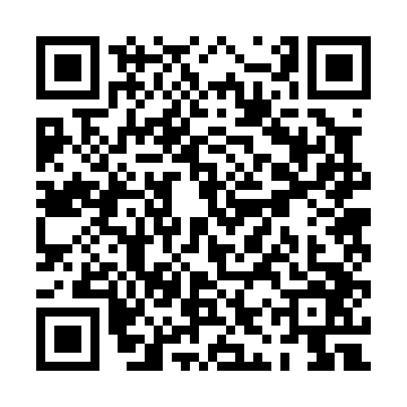 QR code for PIR0466