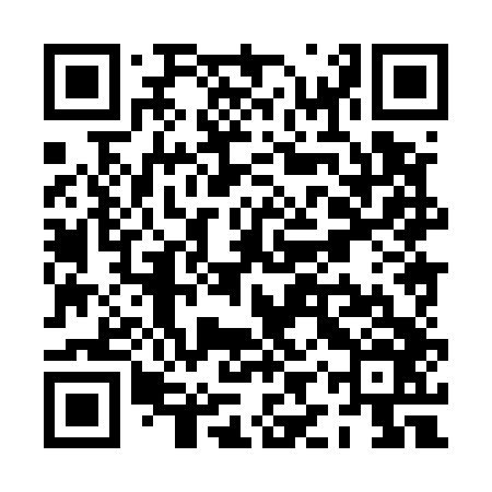 QR code for PIX546