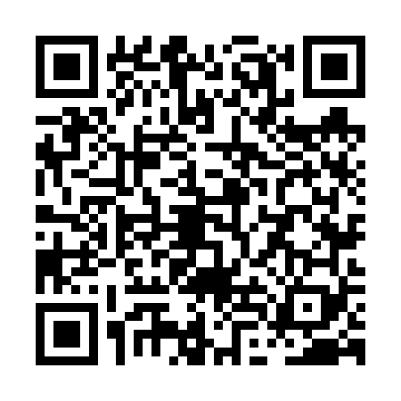 QR code for PLN6699