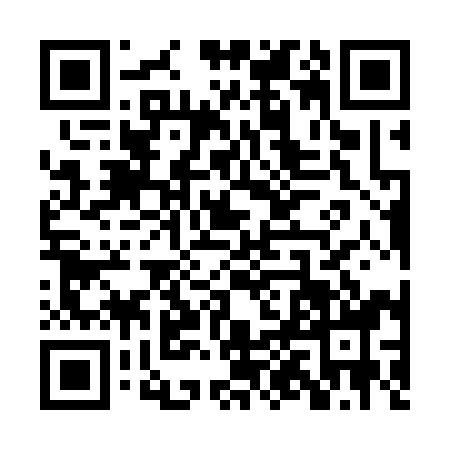 QR code for PPA3987