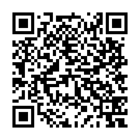 QR code for PPE539