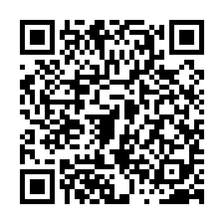 QR code for PPI1993