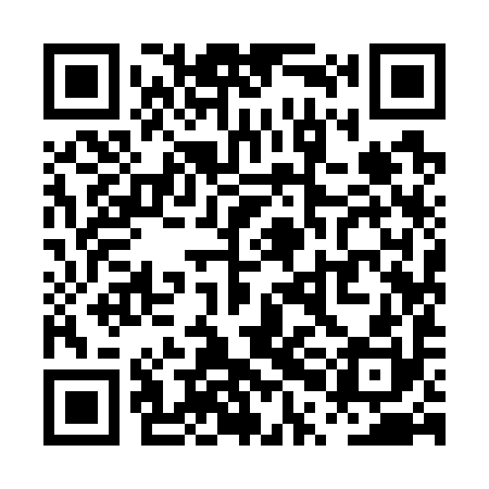 QR code for PPI790