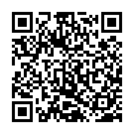 QR code for PPT500