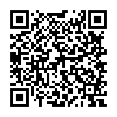 QR code for PPZ881