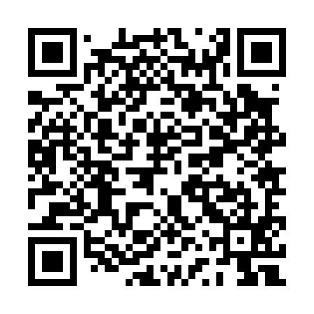 QR code for PVZ095