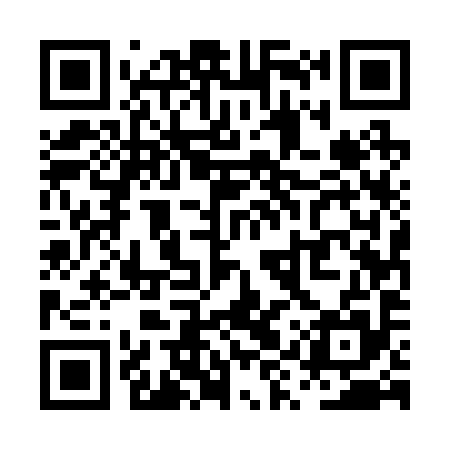 QR code for PYU295