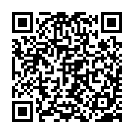 QR code for QAR395