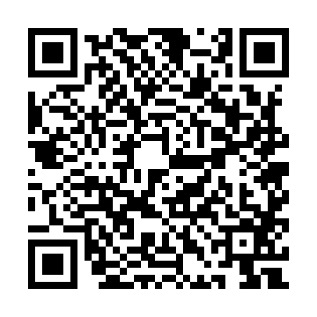 QR code for QDG9863