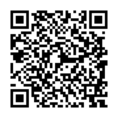 QR code for QDL0819