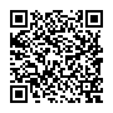 QR code for QFL9516