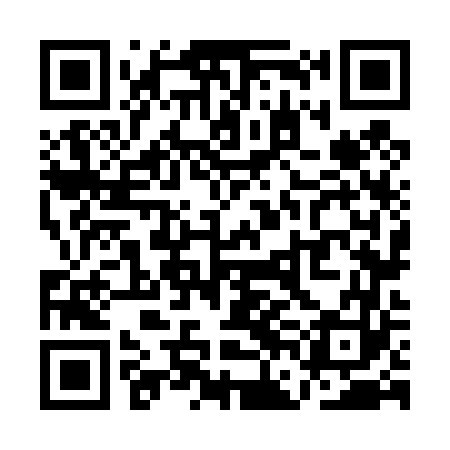 QR code for QFN463