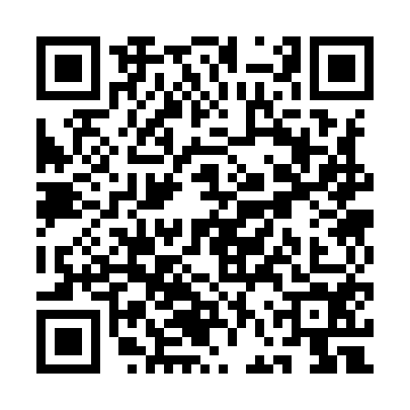 QR code for QFS9541
