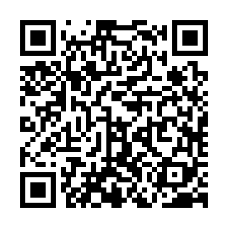 QR code for QGB369