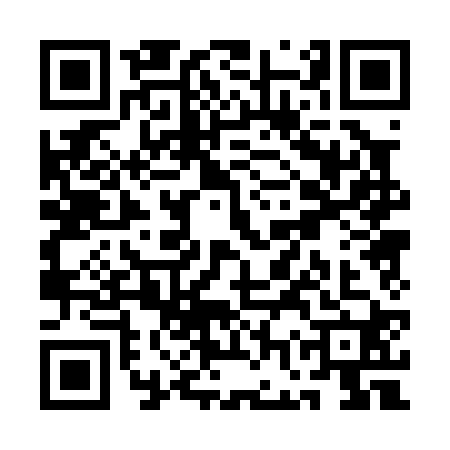 QR code for QGP0206