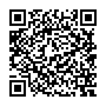 QR code for QGP8653