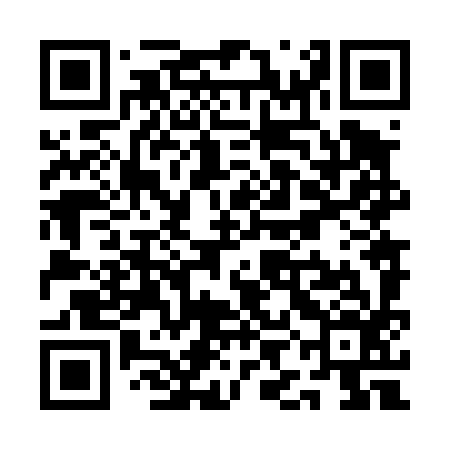 QR code for QIN496