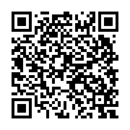 QR code for QLN617