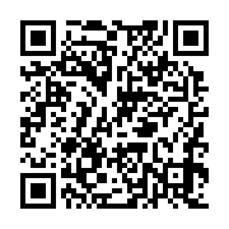 QR code for QLT379