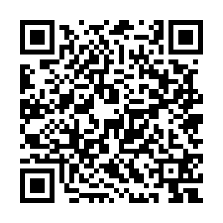 QR code for QLU5203