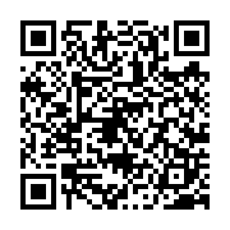 QR code for QML6029