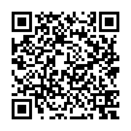 QR code for QNI9393