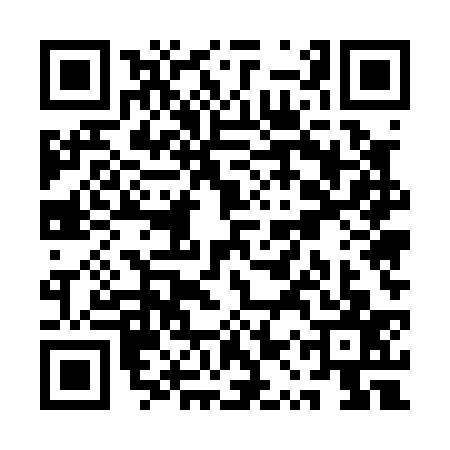 QR code for QQU0379