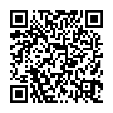 QR code for QSP961
