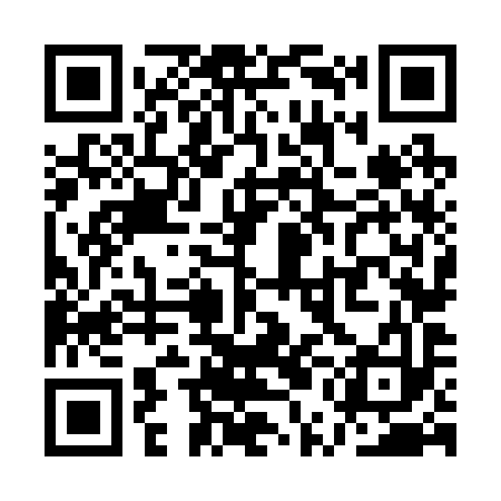 QR code for QUN293