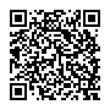 QR code for QUN382
