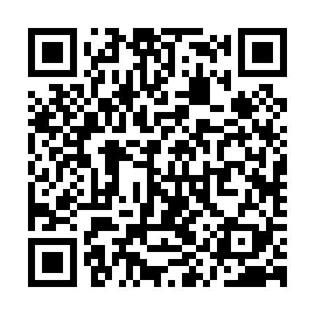 QR code for QYR029