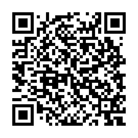 QR code for QZD311
