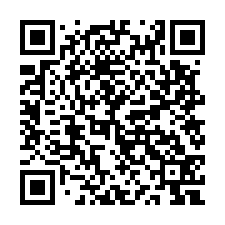 QR code for QZG533