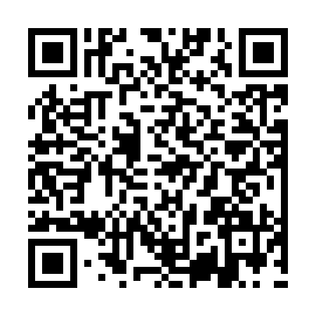 QR code for QZR9919