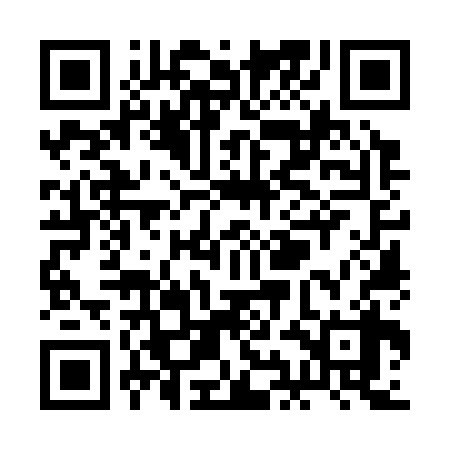 QR code for RIO338