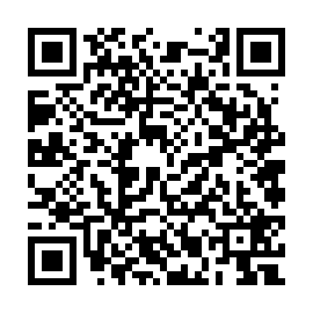 QR code for RMV2294
