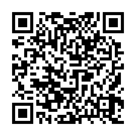 QR code for RPI368