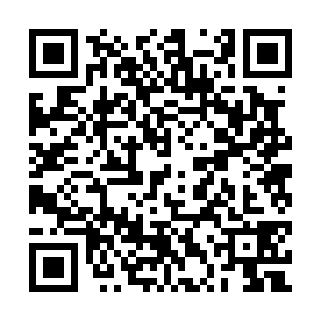 QR code for RTR0387
