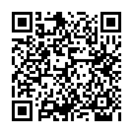 QR code for RYO3866