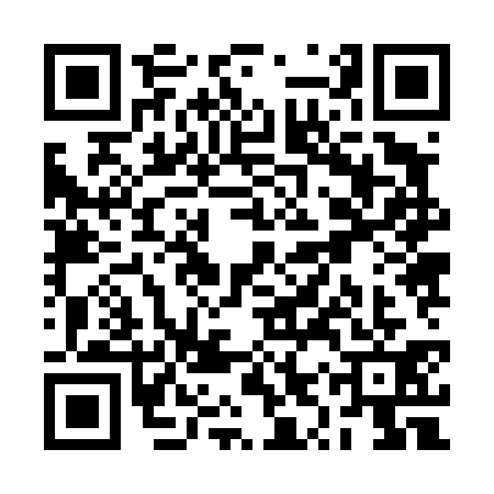 QR code for RYZ4313