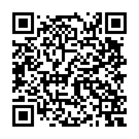QR code for RZY463