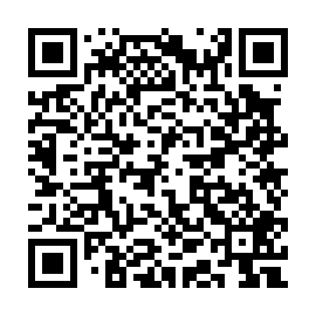 QR code for SAO009