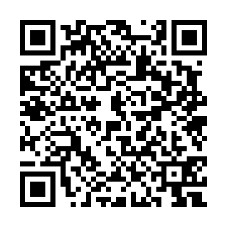 QR code for SAO4311