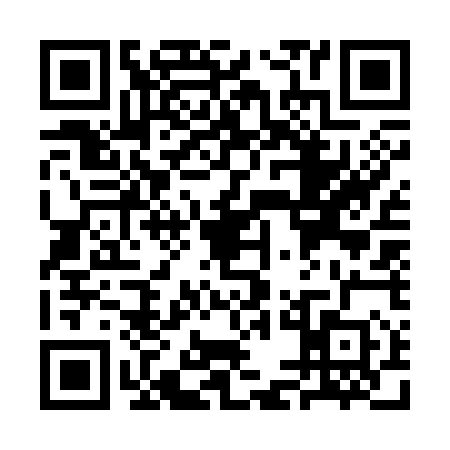 QR code for SEG3502
