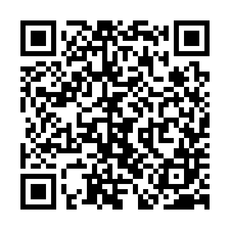 QR code for SEG382