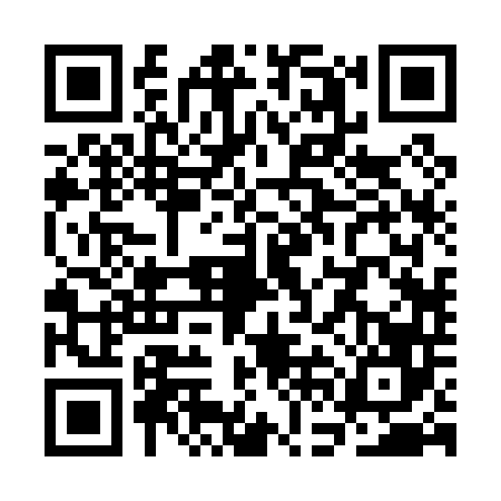 QR code for SFB0463